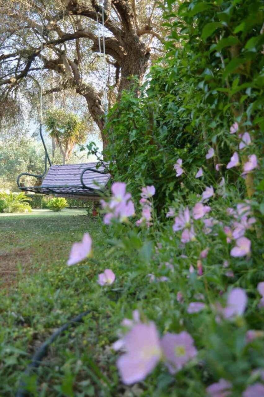 شقة Sunny Garden بلاتاريا المظهر الخارجي الصورة