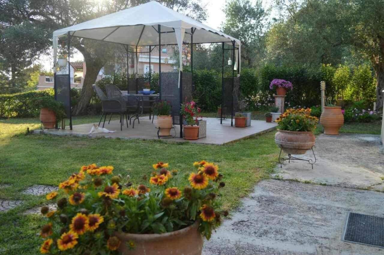 شقة Sunny Garden بلاتاريا المظهر الخارجي الصورة