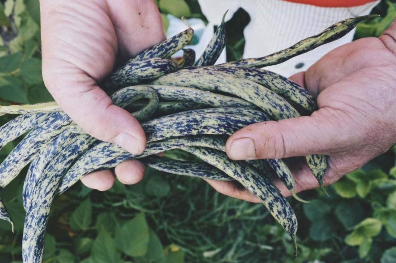 شقة Sunny Garden بلاتاريا المظهر الخارجي الصورة