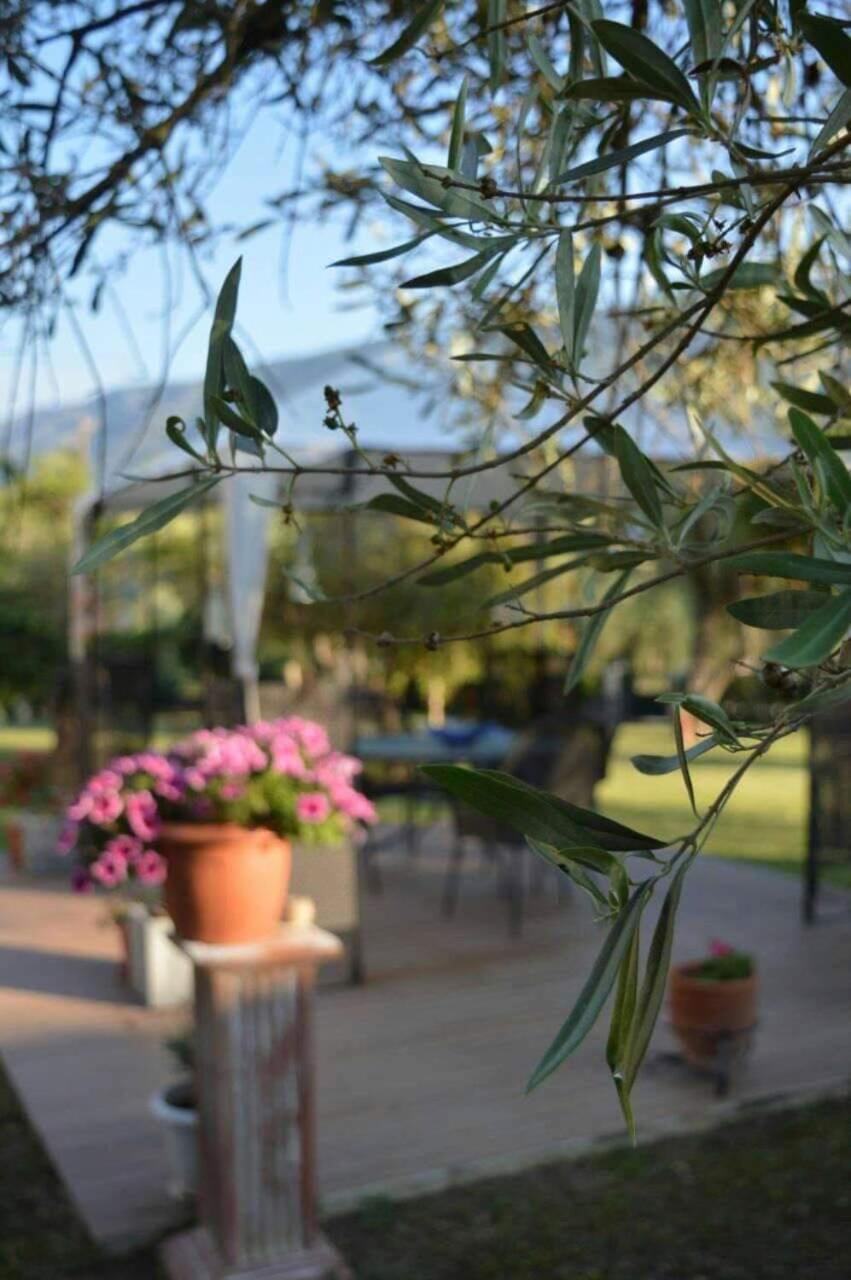 شقة Sunny Garden بلاتاريا المظهر الخارجي الصورة